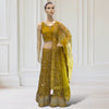 Lehenga + Choli + scarf