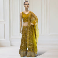 Lehenga + Choli + scarf