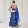 Lehenga + Choli + scarf