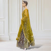 Lehenga + Choli + scarf