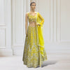 Lehenga + Choli + scarf