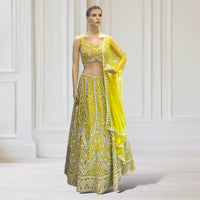 Lehenga + Choli + scarf
