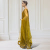 Lehenga + Choli + scarf