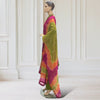 Kurta + Trouser + scarf