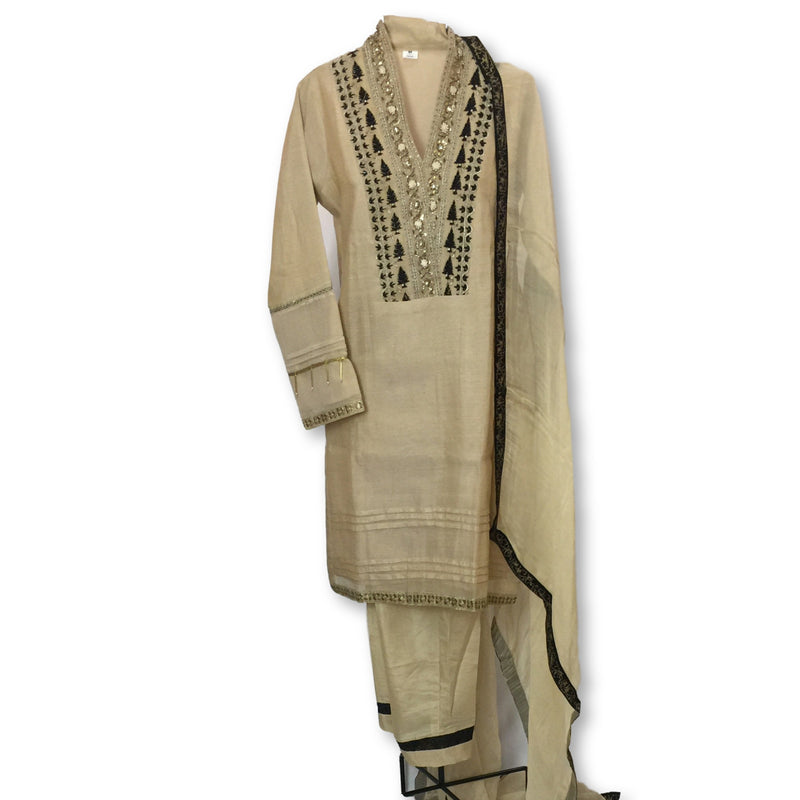 Pakistani Suit Size 40